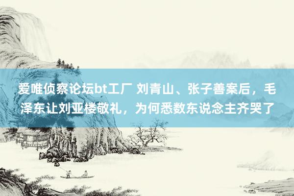 爱唯侦察论坛bt工厂 刘青山、张子善案后，毛泽东让刘亚楼敬礼，为何悉数东说念主齐哭了