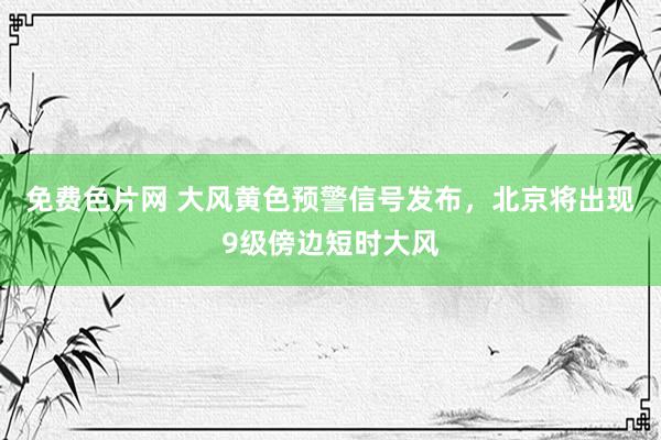 免费色片网 大风黄色预警信号发布，北京将出现9级傍边短时大风