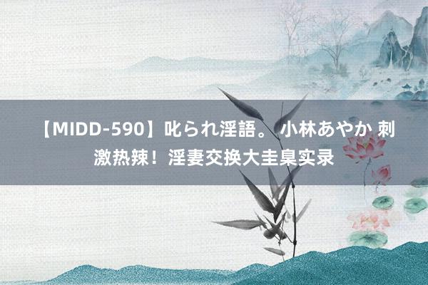 【MIDD-590】叱られ淫語。 小林あやか 刺激热辣！淫妻交换大圭臬实录