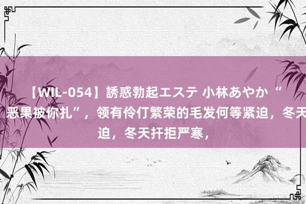 【WIL-054】誘惑勃起エステ 小林あやか “本思扎你，恶果被你扎”，领有伶仃繁荣的毛发何等紧迫，冬天扞拒严寒，