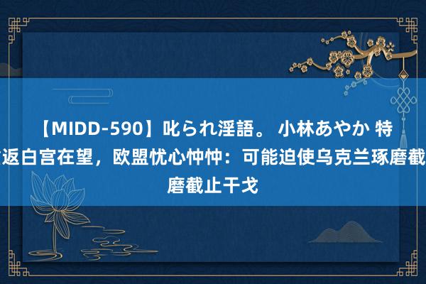 【MIDD-590】叱られ淫語。 小林あやか 特朗普重返白宫在望，欧盟忧心忡忡：可能迫使乌克兰琢磨截止干戈