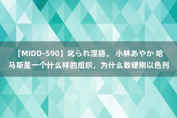 【MIDD-590】叱られ淫語。 小林あやか 哈马斯是一个什么样的组织，为什么敢硬刚以色列