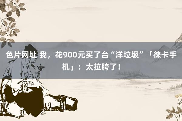 色片网址 我，花900元买了台“洋垃圾”「徕卡手机」：太拉胯了！