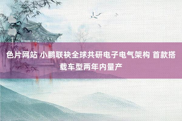 色片网站 小鹏联袂全球共研电子电气架构 首款搭载车型两年内量产