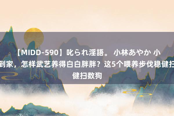 【MIDD-590】叱られ淫語。 小林あやか 小狗刚到家，怎样武艺养得白白胖胖？这5个喂养步伐稳健扫数狗