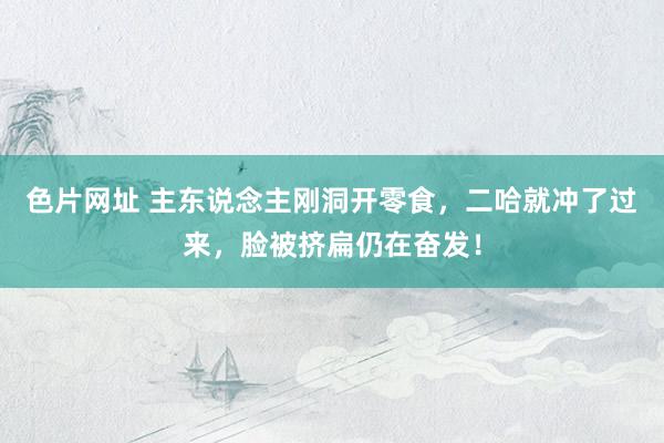 色片网址 主东说念主刚洞开零食，二哈就冲了过来，脸被挤扁仍在奋发！