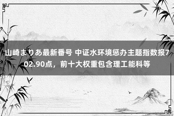 山崎まりあ最新番号 中证水环境惩办主题指数报702.90点，前十大权重包含理工能科等