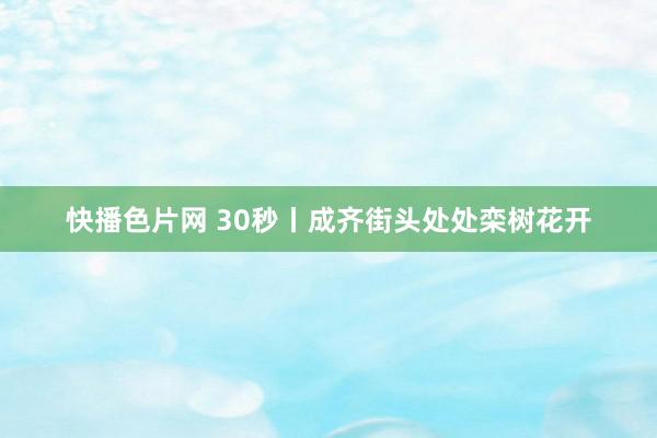 快播色片网 30秒丨成齐街头处处栾树花开