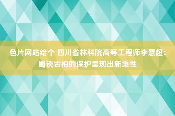 色片网站给个 四川省林科院高等工程师李慧超：蜀谈古柏的保护呈现出新秉性