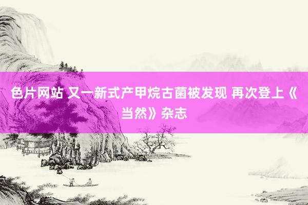 色片网站 又一新式产甲烷古菌被发现 再次登上《当然》杂志