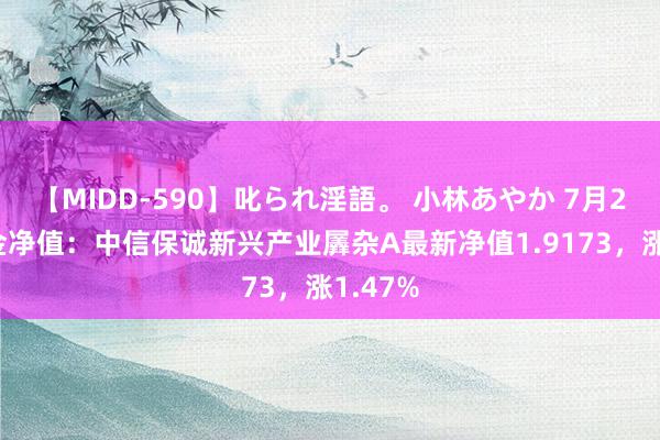 【MIDD-590】叱られ淫語。 小林あやか 7月26日基金净值：中信保诚新兴产业羼杂A最新净值1.9173，涨1.47%