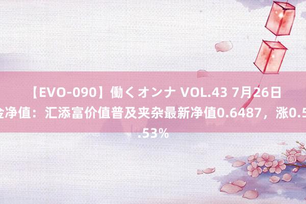 【EVO-090】働くオンナ VOL.43 7月26日基金净值：汇添富价值普及夹杂最新净值0.6487，涨0.53%