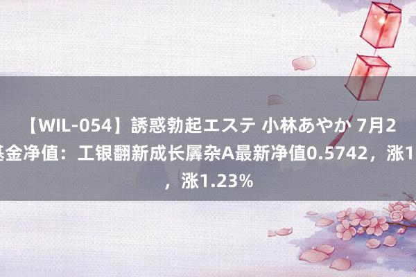 【WIL-054】誘惑勃起エステ 小林あやか 7月26日基金净值：工银翻新成长羼杂A最新净值0.5742，涨1.23%