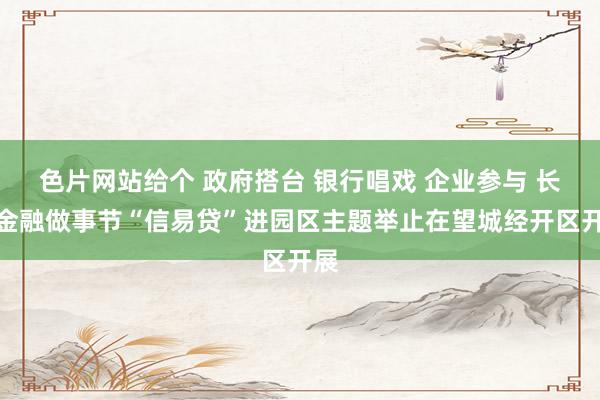 色片网站给个 政府搭台 银行唱戏 企业参与 长沙金融做事节“信易贷”进园区主题举止在望城经开区开展