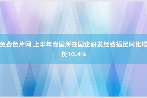 免费色片网 上半年我国所在国企研发经费插足同比增长10.4%