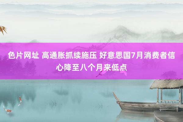 色片网址 高通胀抓续施压 好意思国7月消费者信心降至八个月来低点