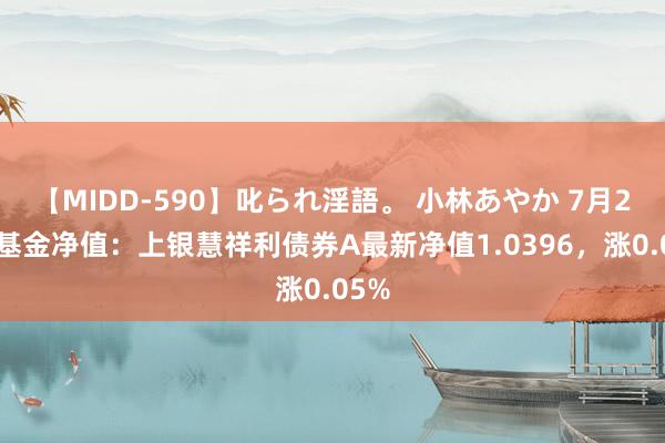 【MIDD-590】叱られ淫語。 小林あやか 7月26日基金净值：上银慧祥利债券A最新净值1.0396，涨0.05%