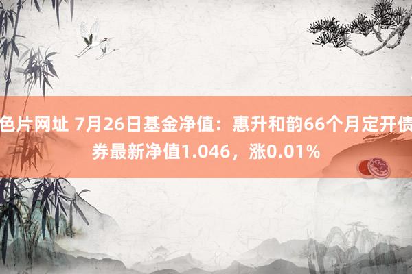 色片网址 7月26日基金净值：惠升和韵66个月定开债券最新净值1.046，涨0.01%