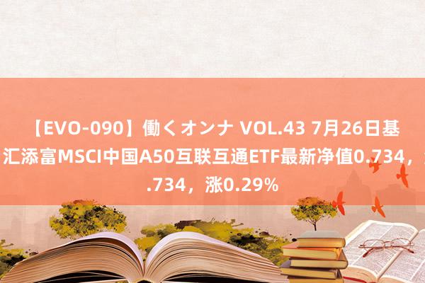 【EVO-090】働くオンナ VOL.43 7月26日基金净值：汇添富MSCI中国A50互联互通ETF最新净值0.734，涨0.29%