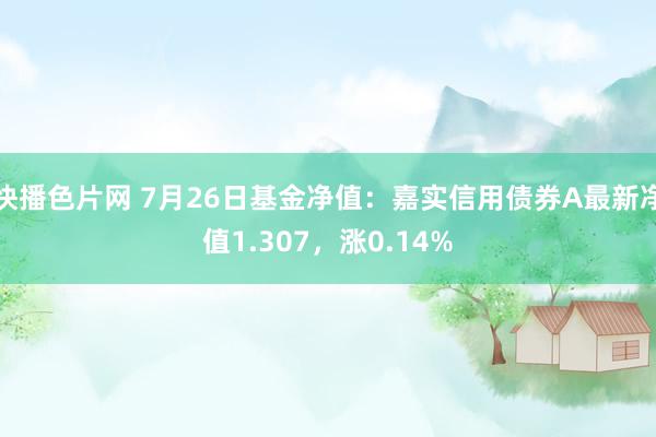 快播色片网 7月26日基金净值：嘉实信用债券A最新净值1.307，涨0.14%