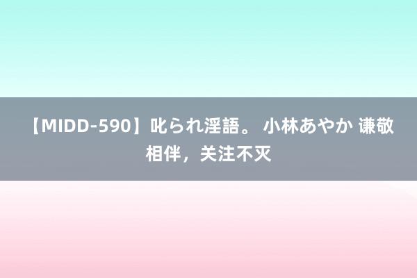 【MIDD-590】叱られ淫語。 小林あやか 谦敬相伴，关注不灭