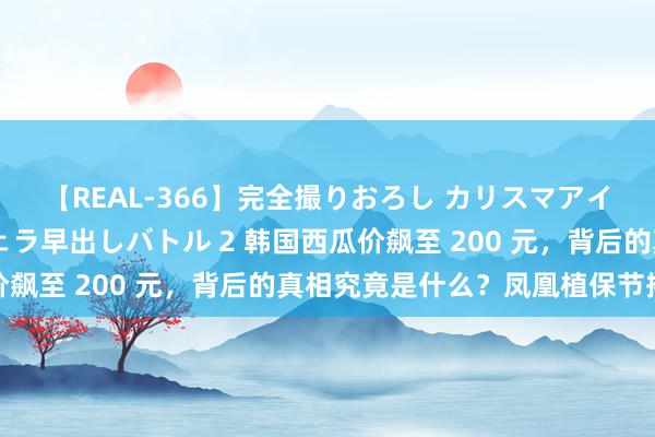 【REAL-366】完全撮りおろし カリスマアイドル対抗！！ ガチフェラ早出しバトル 2 韩国西瓜价飙至 200 元，背后的真相究竟是什么？凤凰植保节揭秘