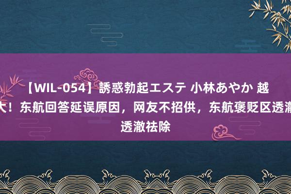 【WIL-054】誘惑勃起エステ 小林あやか 越闹越大！东航回答延误原因，网友不招供，东航褒贬区透澈祛除