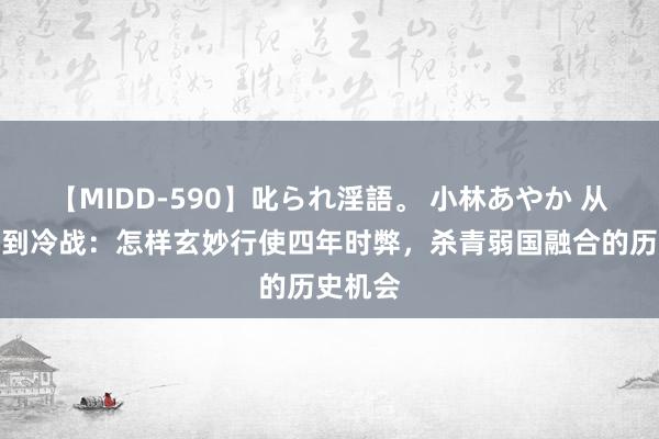 【MIDD-590】叱られ淫語。 小林あやか 从雅尔塔到冷战：怎样玄妙行使四年时弊，杀青弱国融合的历史机会