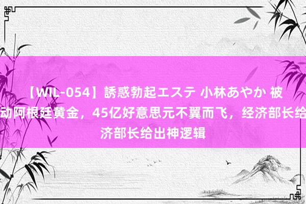 【WIL-054】誘惑勃起エステ 小林あやか 被曝米莱出动阿根廷黄金，45亿好意思元不翼而飞，经济部长给出神逻辑