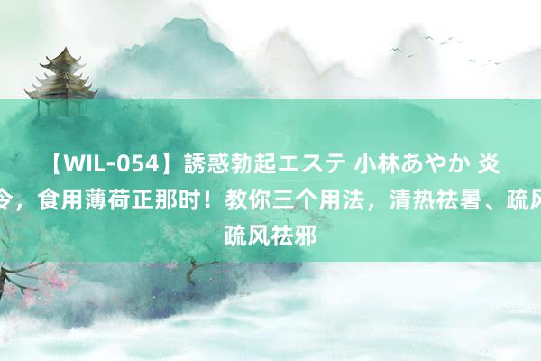 【WIL-054】誘惑勃起エステ 小林あやか 炎炎夏令，食用薄荷正那时！教你三个用法，清热祛暑、疏风祛邪