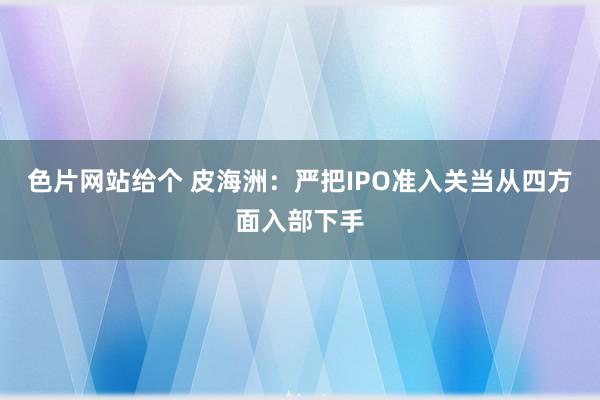 色片网站给个 皮海洲：严把IPO准入关当从四方面入部下手