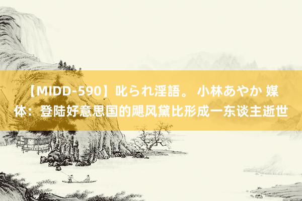 【MIDD-590】叱られ淫語。 小林あやか 媒体：登陆好意思国的飓风黛比形成一东谈主逝世