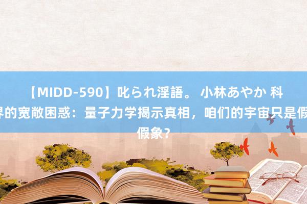 【MIDD-590】叱られ淫語。 小林あやか 科学界的宽敞困惑：量子力学揭示真相，咱们的宇宙只是假象？