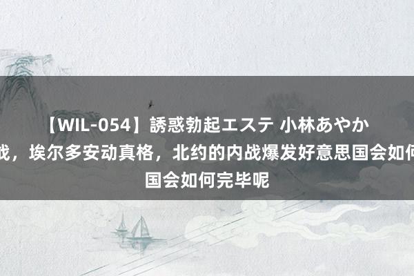 【WIL-054】誘惑勃起エステ 小林あやか 派兵参战，埃尔多安动真格，北约的内战爆发好意思国会如何完毕呢