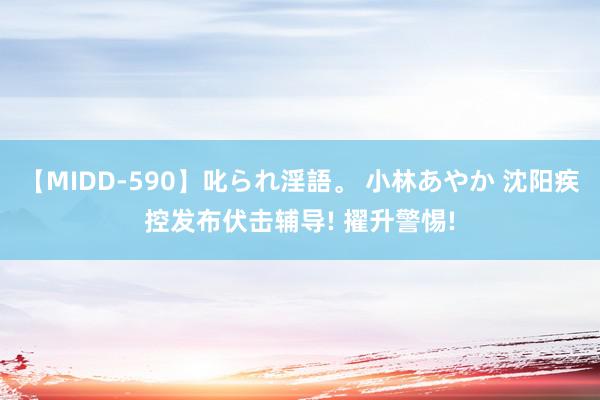 【MIDD-590】叱られ淫語。 小林あやか 沈阳疾控发布伏击辅导! 擢升警惕!