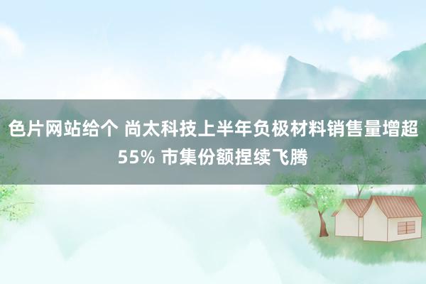 色片网站给个 尚太科技上半年负极材料销售量增超55% 市集份额捏续飞腾