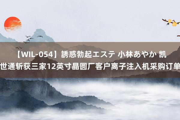 【WIL-054】誘惑勃起エステ 小林あやか 凯世通斩获三家12英寸晶圆厂客户离子注入机采购订单