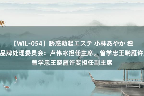 【WIL-054】誘惑勃起エステ 小林あやか 独家 | 小米调度品牌处理委员会：卢伟冰担任主席，曾学忠王晓雁许斐担任副主席