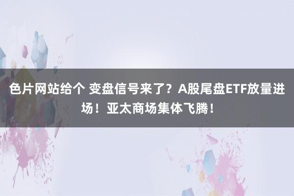 色片网站给个 变盘信号来了？A股尾盘ETF放量进场！亚太商场集体飞腾！