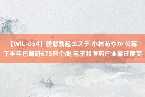 【WIL-054】誘惑勃起エステ 小林あやか 公募下半年已调研675只个股 电子和医药行业眷注度高