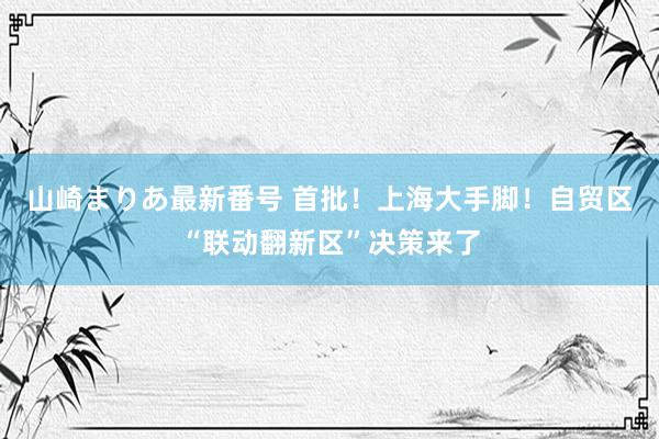 山崎まりあ最新番号 首批！上海大手脚！自贸区“联动翻新区”决策来了