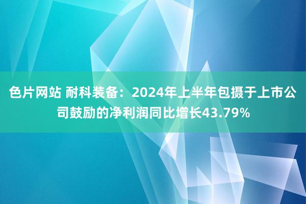 色片网站 耐科装备：2024年上半年包摄于上市公司鼓励的净利润同比增长43.79%