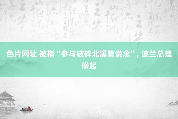 色片网址 被指“参与破碎北溪管说念”, 波兰总理修起