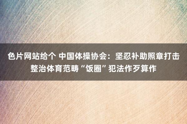 色片网站给个 中国体操协会：坚忍补助照章打击整治体育范畴“饭圈”犯法作歹算作