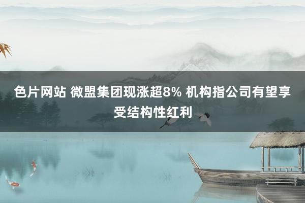 色片网站 微盟集团现涨超8% 机构指公司有望享受结构性红利