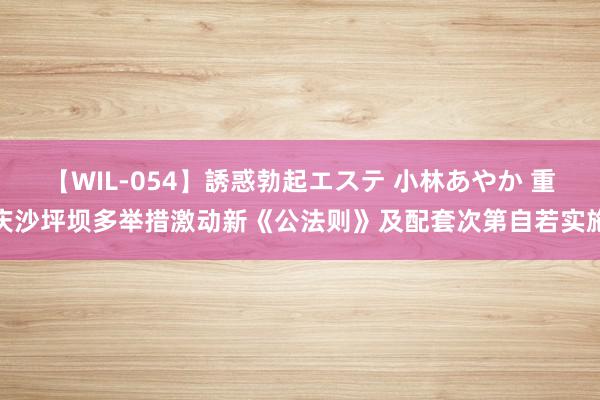 【WIL-054】誘惑勃起エステ 小林あやか 重庆沙坪坝多举措激动新《公法则》及配套次第自若实施