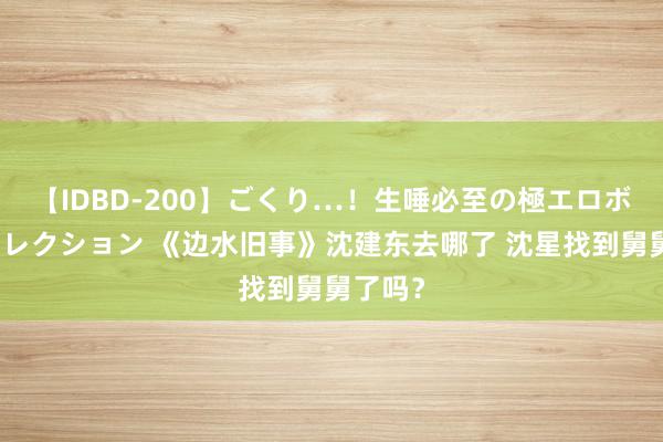 【IDBD-200】ごくり…！生唾必至の極エロボディセレクション 《边水旧事》沈建东去哪了 沈星找到舅舅了吗？