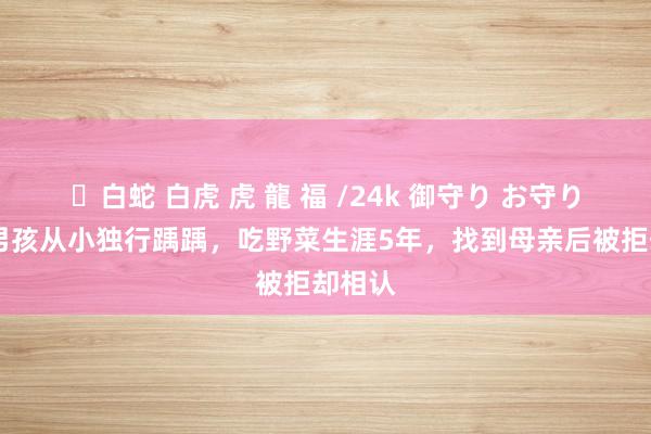 ✨白蛇 白虎 虎 龍 福 /24k 御守り お守り 广西男孩从小独行踽踽，吃野菜生涯5年，找到母亲后被拒却相认