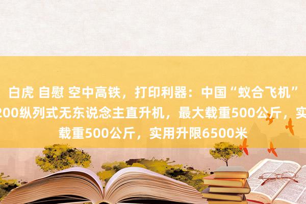 白虎 自慰 空中高铁，打印利器：中国“蚁合飞机”公司研制的T1200纵列式无东说念主直升机，最大载重500公斤，实用升限6500米