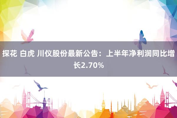 探花 白虎 川仪股份最新公告：上半年净利润同比增长2.70%